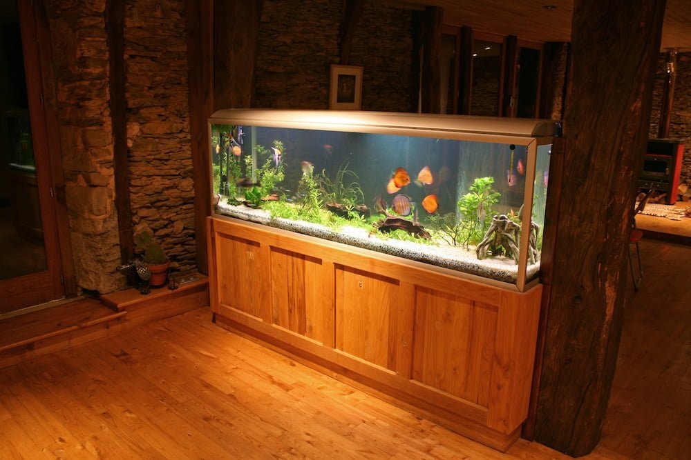 Aquarium Complete Set